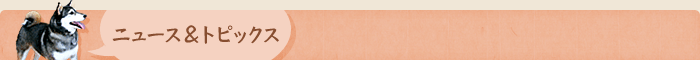 ニュース&トピックス